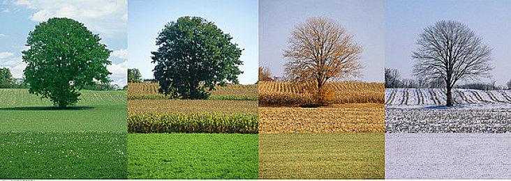 《生化危机4：重制版》艾达王配音演员被网暴 被迫关闭Ins